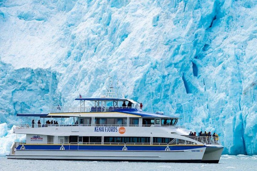 Kenai Fjords National Park Glacier & Wildlife Cruise 3