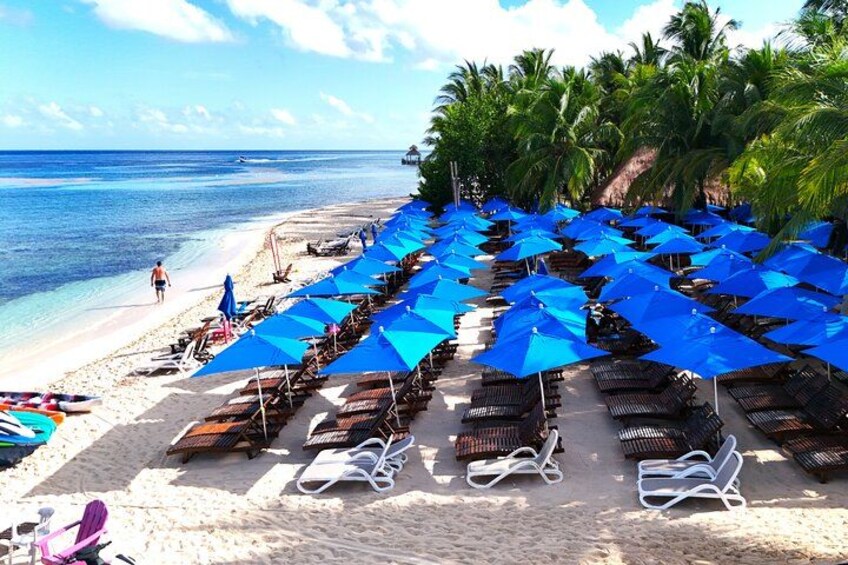 A beach with rows of blue umbrellas and sun loungers, palm trees, and a clear blue sea. 2