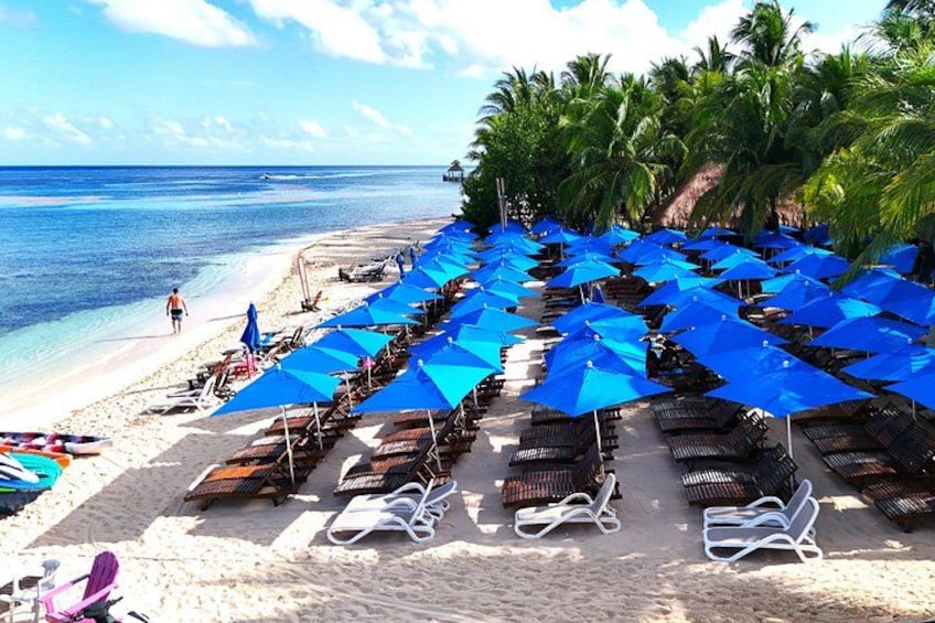 A beach with blue umbrellas, sun loungers, and palm trees. 2
