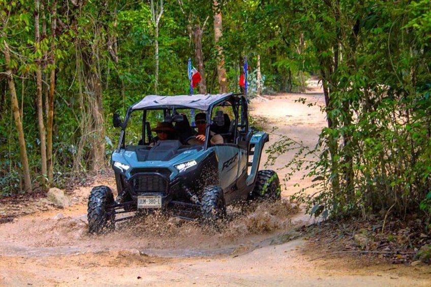 Mud Trails 3