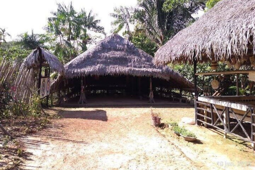 A thatched-roof hut with a dirt path leading to it, surrounded by palm trees. 1