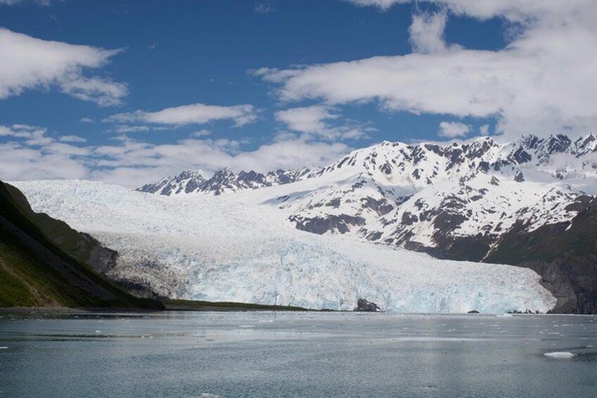 Full-Day Kenai Fjords National Park Cruise 3
