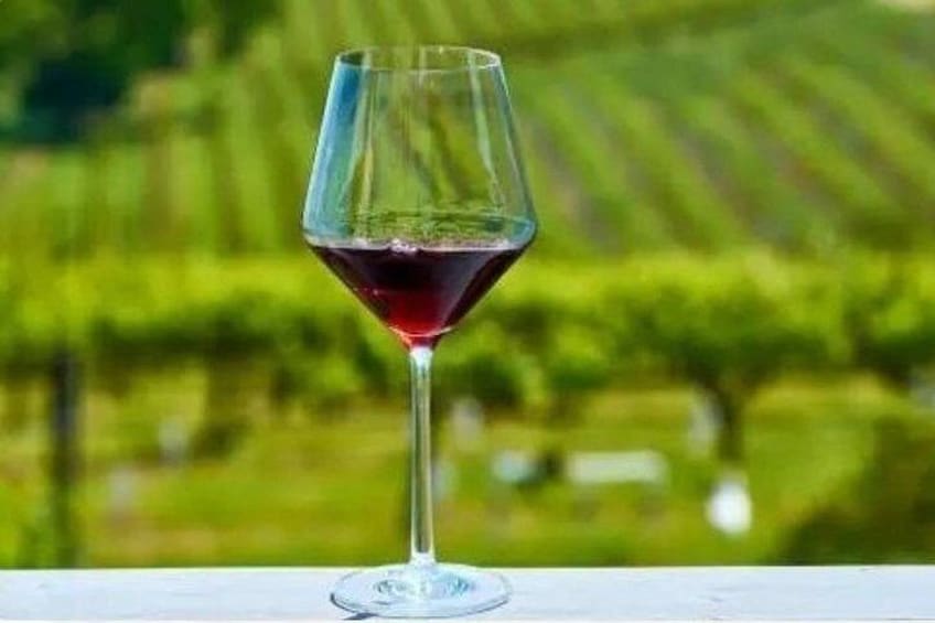Private Chauffeured Winery Tour 4