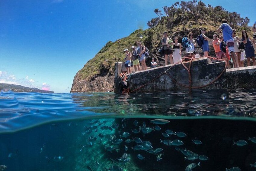 Islet Snorkeling & Boat Tour – Around the Ilhéu de Vila Franca 1