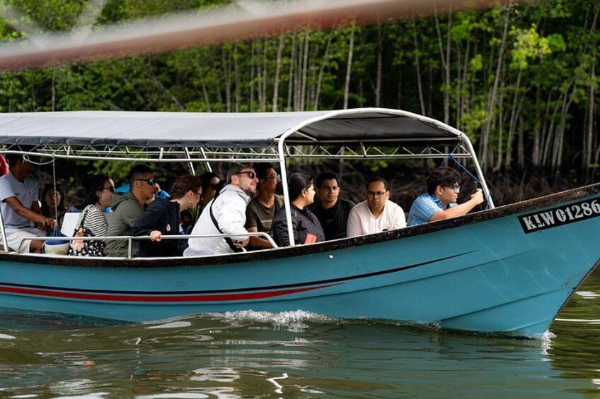 Private Mangrove Boat Tour 2 Hours of Scenic Exploration 3