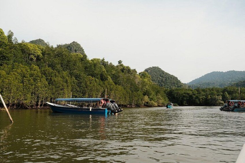 Private Mangrove Boat Tour 2 Hours of Scenic Exploration 1