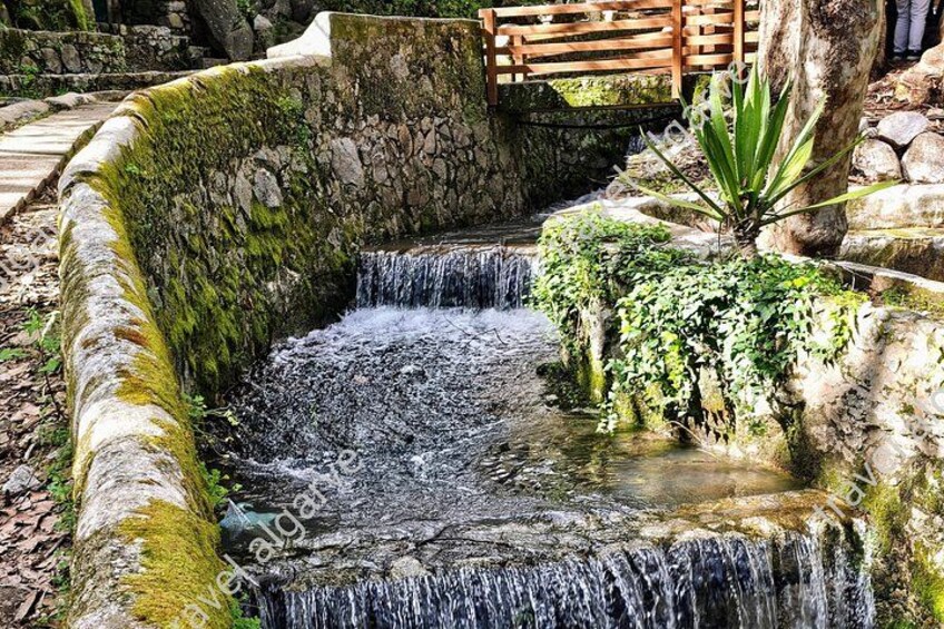 Une petite cascade se déverse dans un bassin de pierre recouvert de mousse, entouré de rochers et agrémenté d’un banc en bois. 5
