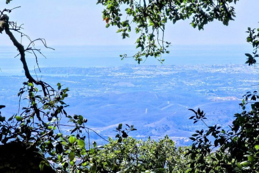 Un paysage montagneux, avec une végétation luxuriante au premier plan et une vaste étendue urbaine en arrière-plan. 3
