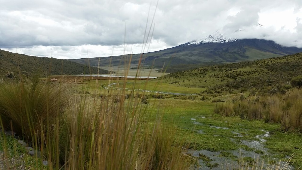 Private Cotopaxi Volcano Full Day Tour from Quito 5