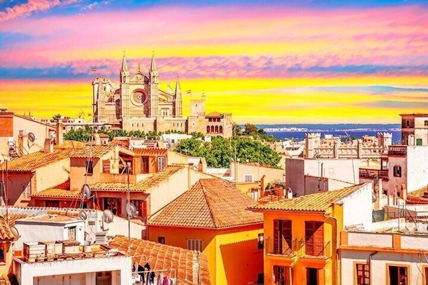 Palma Cathedral, 24h Hop-On Hop-Off Bus & Boat Tour 3