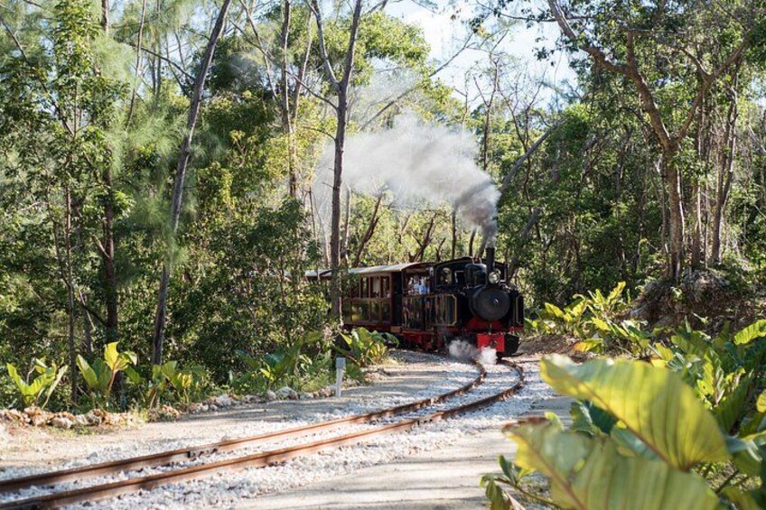 Victorian Steam Railway Short Journey (+Great House Optional) 2