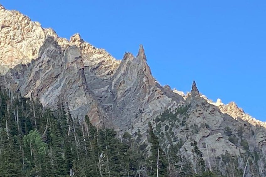 A mountain range with rugged peaks and dense forest at its base. 3