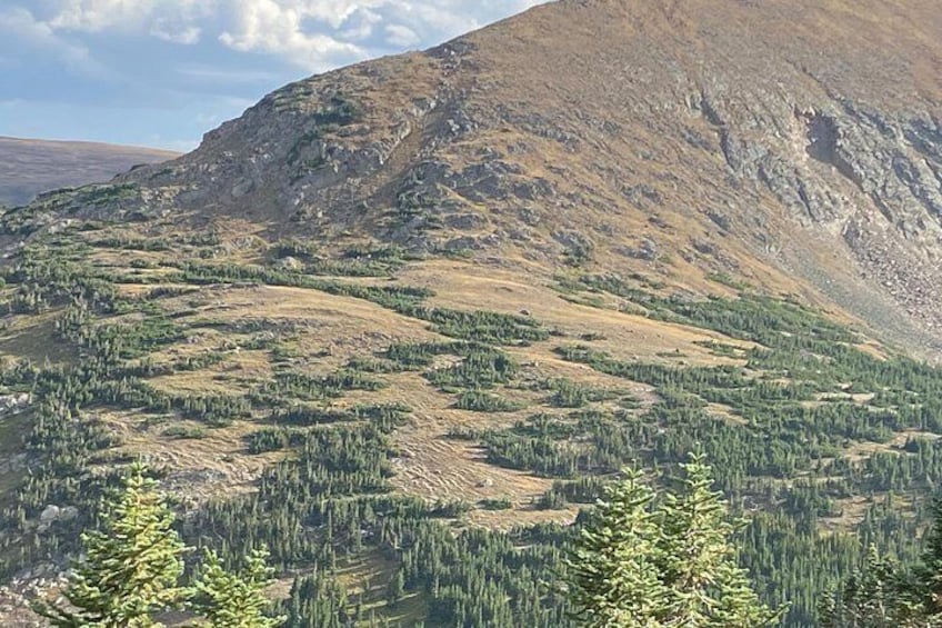 Estes Park Car Tour 2
