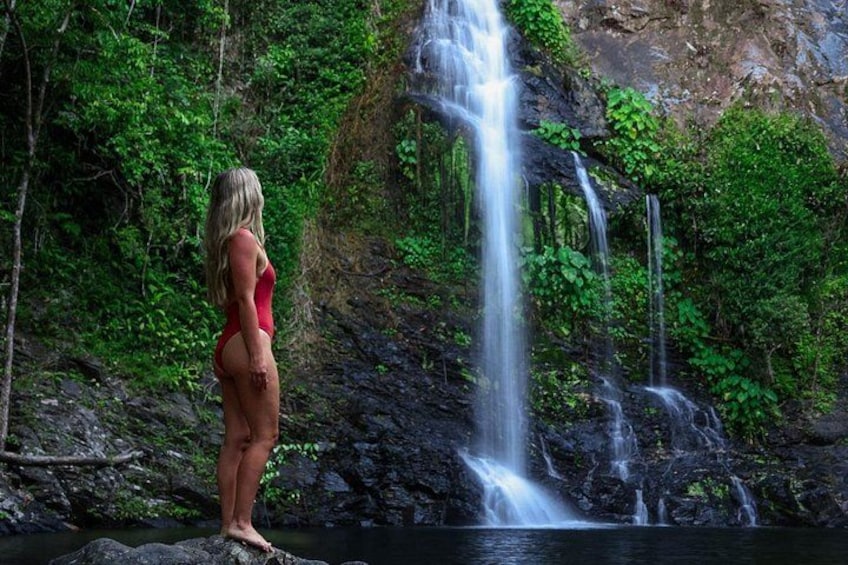 A waterfall, dense greenery, and a person standing by the water. 4