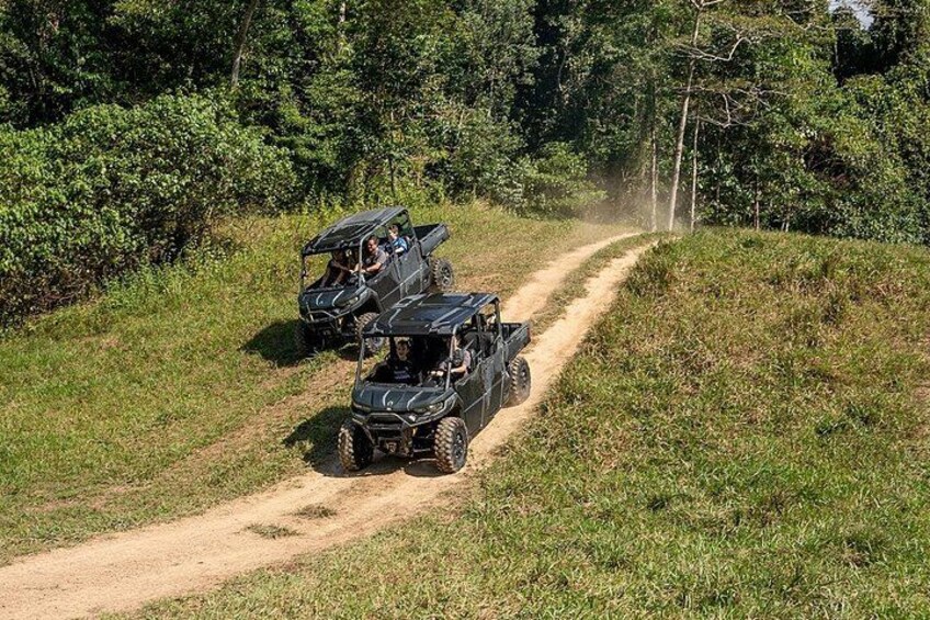 UTV 4wd Cassowary Falls and Daintree Rainforest Adventure tour 4