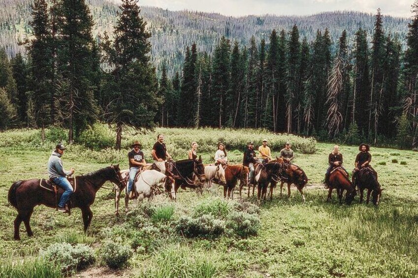 Guided Horseback Trail Rides 3