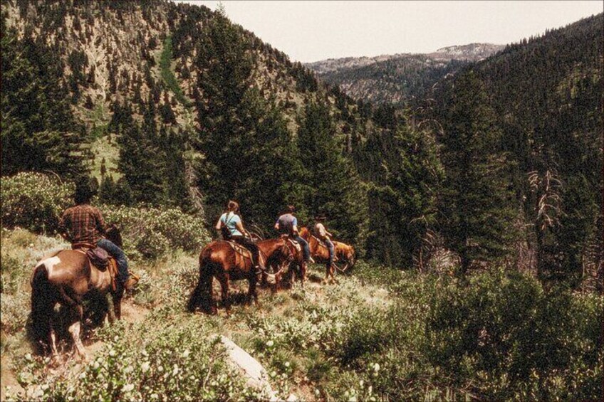 Guided Horseback Trail Rides 5
