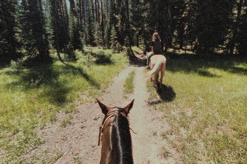 Guided Horseback Trail Rides 2