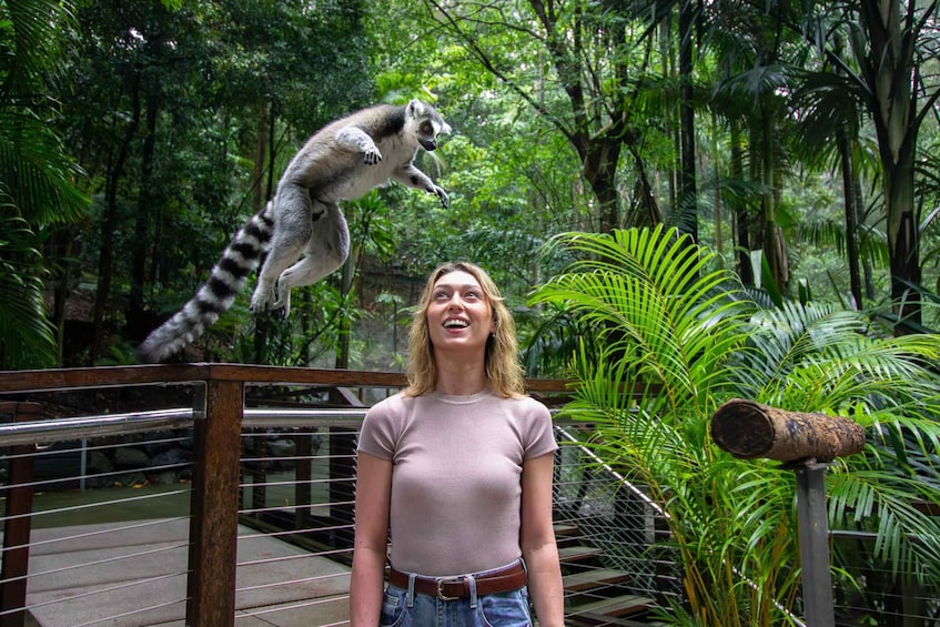 Picture 8 for Activity Currumbin Wildlife Sanctuary Entry Ticket 4