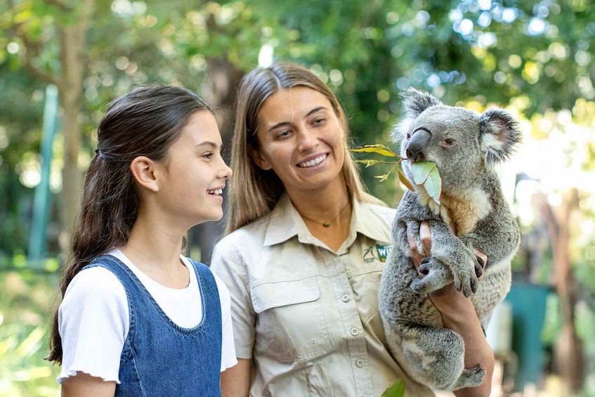 Picture 9 for Activity Currumbin Wildlife Sanctuary Entry Ticket 2