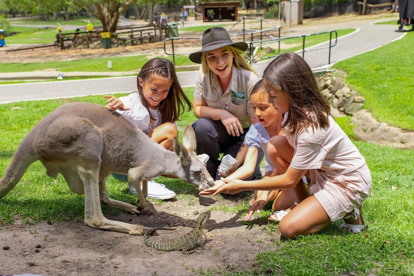 Picture 8 for Activity Currumbin Wildlife Sanctuary Entry Ticket 3