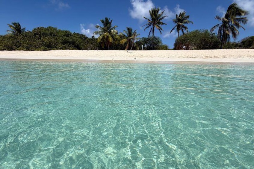 Clear turquoise water, a sandy beach, and palm trees. 2