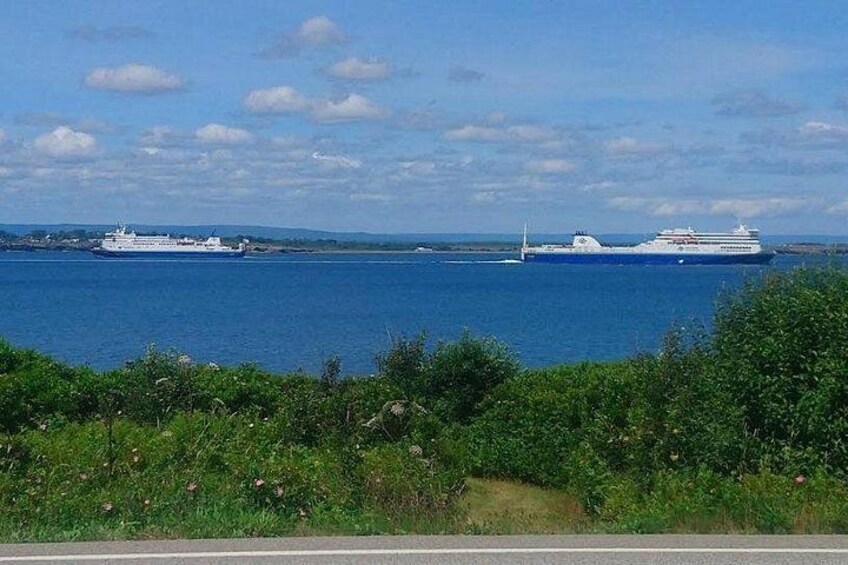 Eine Küstenansicht mit zwei großen Kreuzfahrtschiffen auf dem Wasser, blauem Himmel und Grünpflanzen im Vordergrund. 4
