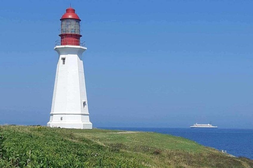 A white lighthouse with a red top, a grassy foreground, and a ship in the distance on the water. 4
