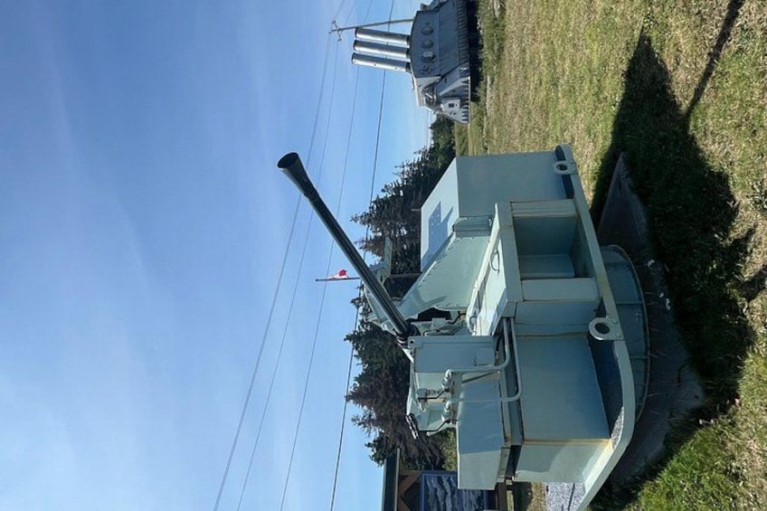A military vehicle with a mounted cannon, parked on grass with a clear sky and power lines in the background. 3