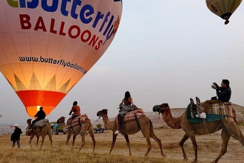 A hot air balloon with the text 'Butterfly Balloons' and a website address, with camels and riders in a desert landscape. 4