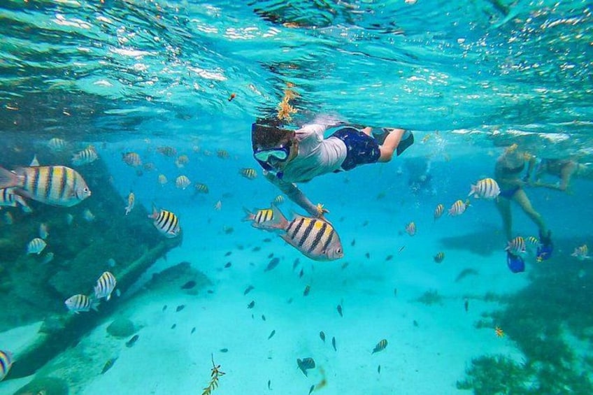 A person snorkeling underwater with fish. 4