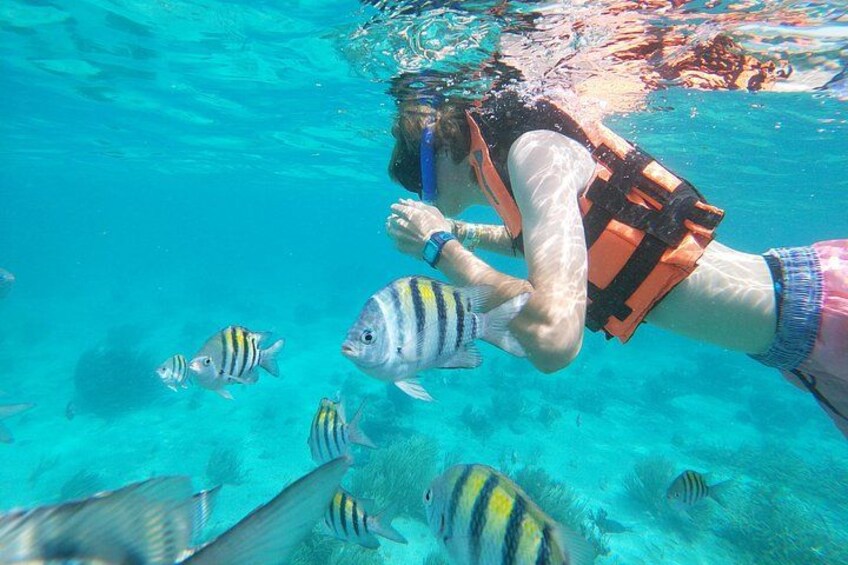 A person snorkeling underwater with a life vest, surrounded by fish. 2