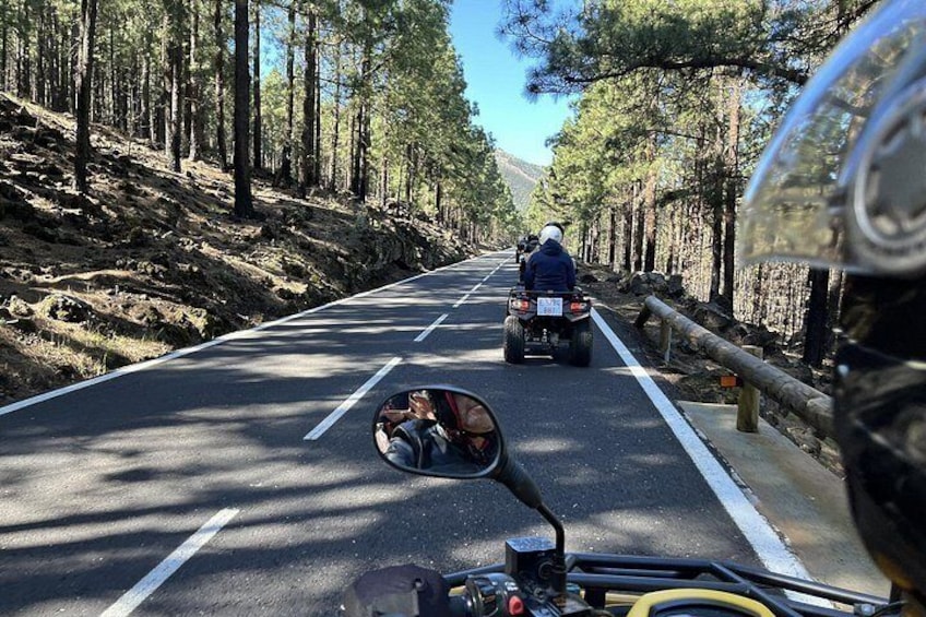 Puerto de la Cruz : Tour in Quad al Teide with Photos & Snack Local 2