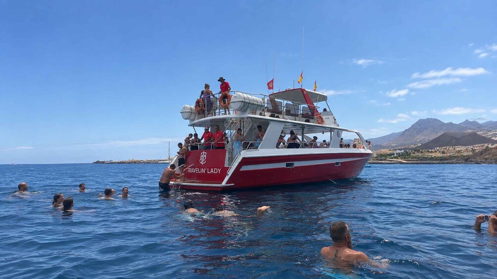 Picture 40 for Activity Travelin’ Lady: Eco Yacht Whale & Dolphin Safari + Swim 3