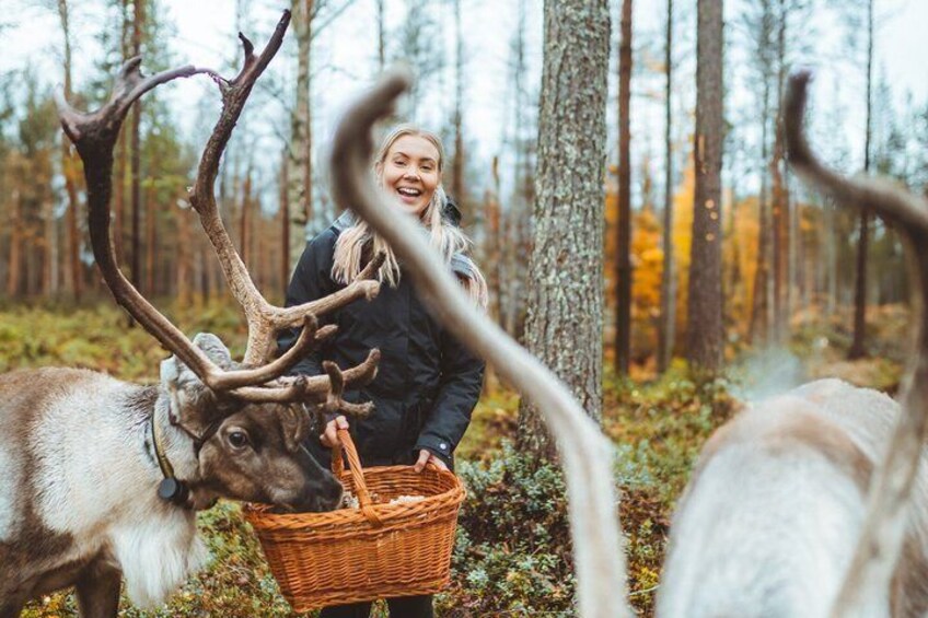 A person with a reindeer in a forest. 4