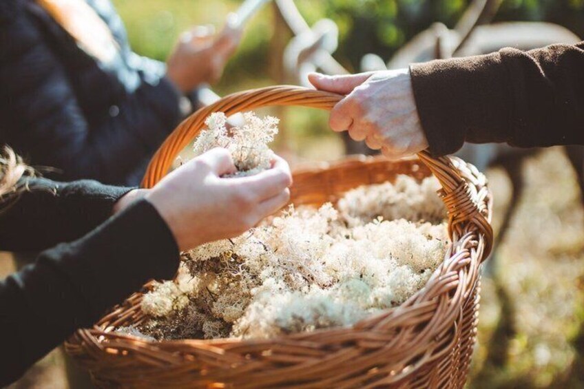 A wicker basket filled with dried flowers and hands reaching for them. 3