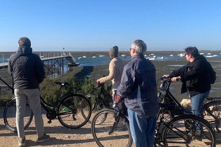 Guided Bike Tour in Faro 2.30h 5