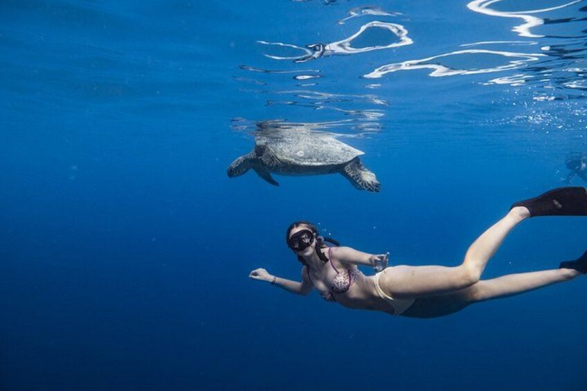 Una persona fa immersioni subacquee con una tartaruga marina in acque cristalline. 2