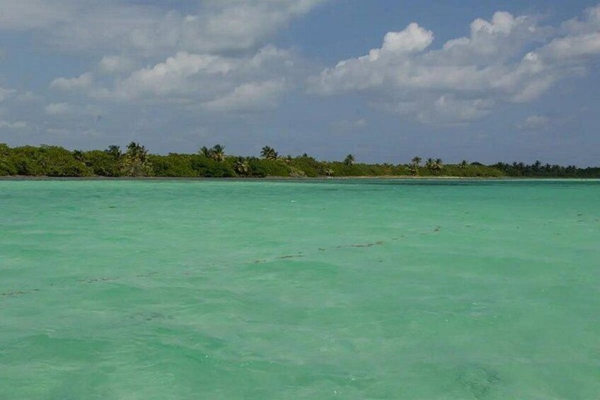 A turquoise sea, a clear sky, and a distant shoreline with vegetation. 5
