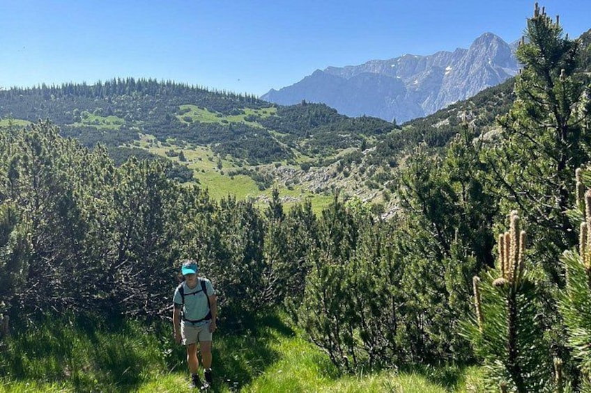 Eine Person wandert durch ein bewaldetes Gebiet, im Hintergrund sind Berge zu sehen. 3