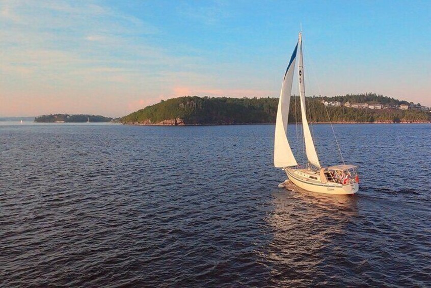 Un voilier sur une étendue d’eau calme, avec une île boisée en arrière-plan. 1