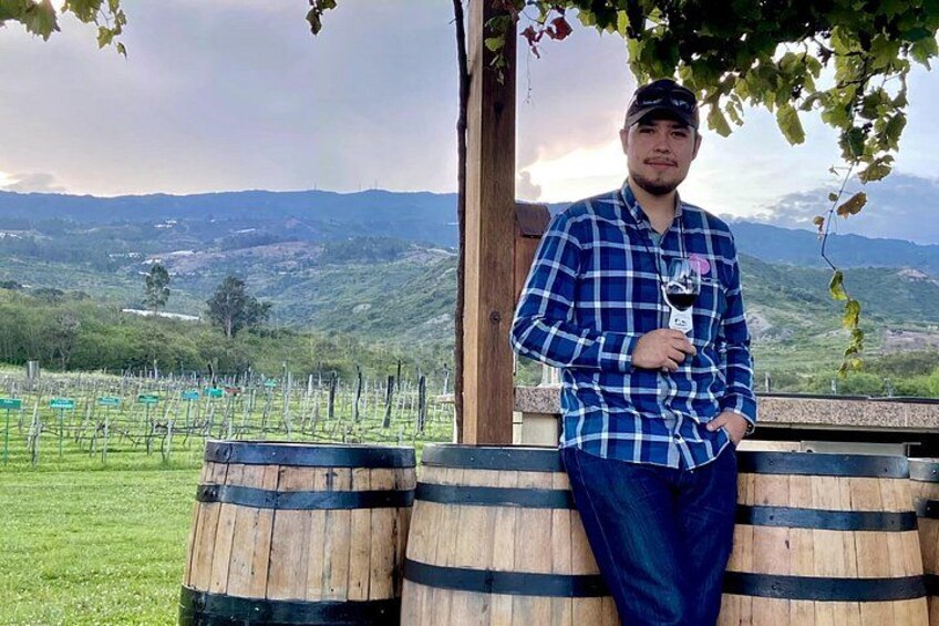 A person standing by wooden barrels with a vineyard and mountains in the background. 5