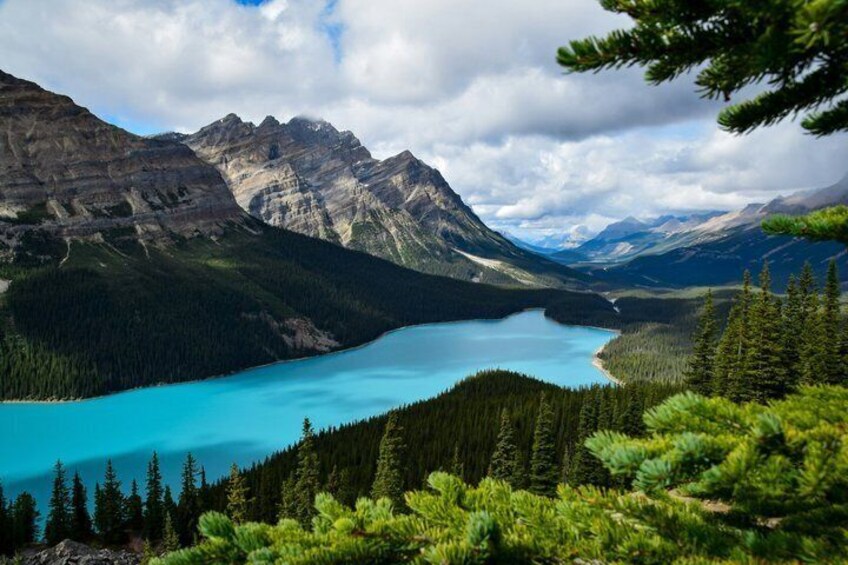 Banff/Canmore/Calgary: Columbia Icefield Skywalk Bow & Peyto Lake 2