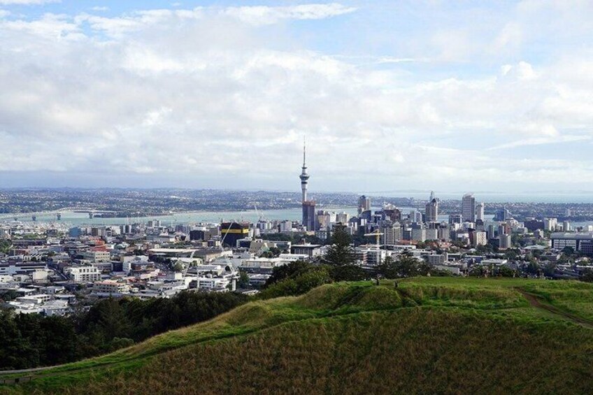 Ultimate Auckland Experience Full Day Tour with Brewery Lunch 2