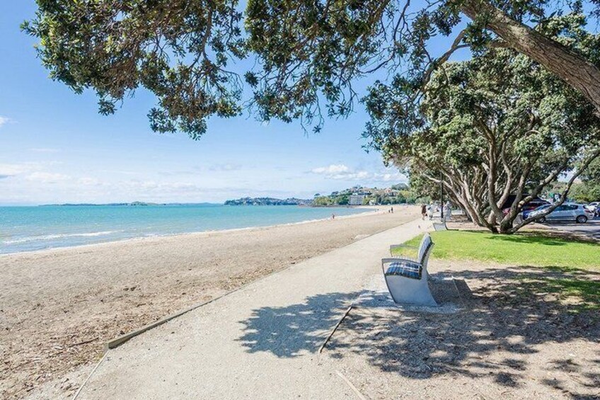 Ultimate Auckland Experience Full Day Tour with Brewery Lunch 3