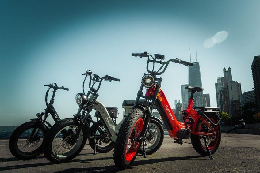 Electric Bike Tours in Lincoln Park 3