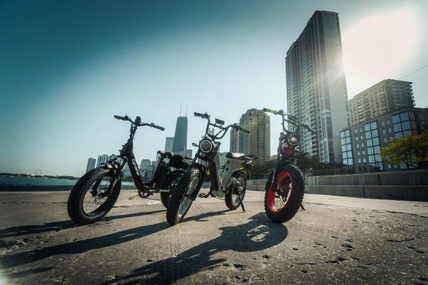 Electric Bike Tours in Lincoln Park 5