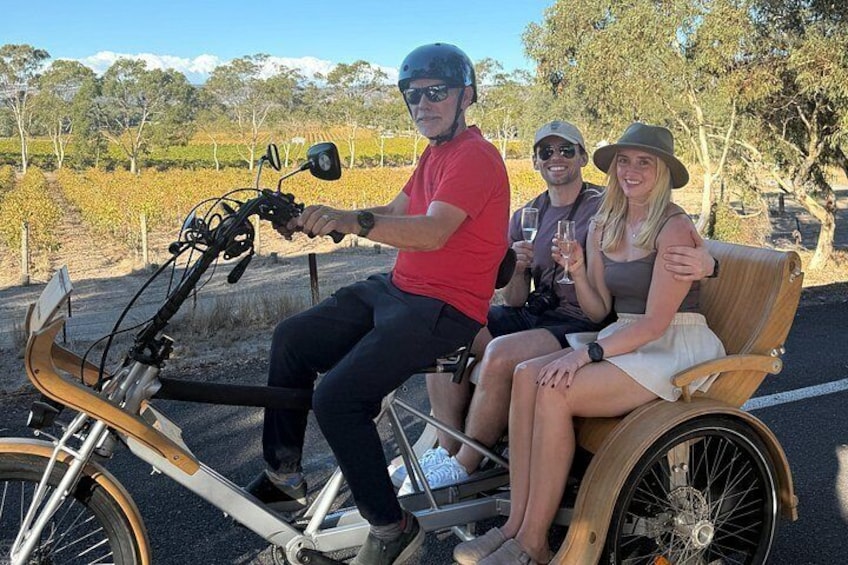 eTukTuk Adventure from Shirvington Wines - McLaren Vale 4