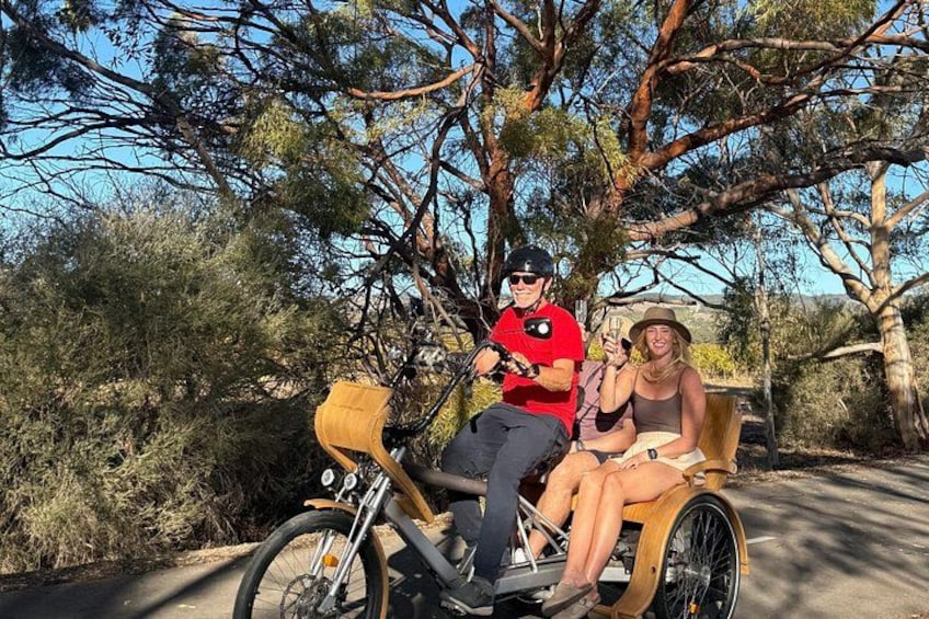 eTukTuk Adventure from Shirvington Wines - McLaren Vale 2