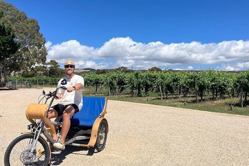 eTukTuk Adventure from Shirvington Wines - McLaren Vale 3